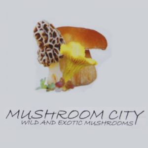 mushroom city